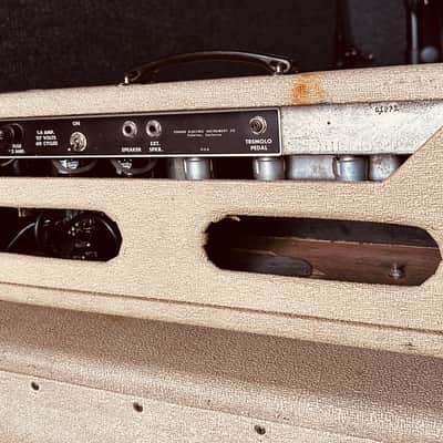 Immagine Fender Tremolux 60’s - Blonde - 5
