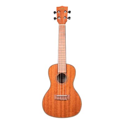 Gloss Mahogany Concert Kala image 3