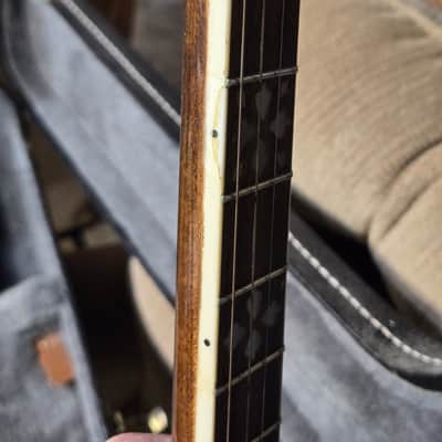 Gold Tone TS-250 4-String Flat Top Resonator Tenor Special Banjo image 5