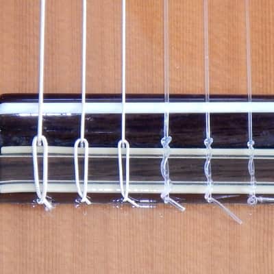 Esteve 3Z classical guitar/ Cedar top / Ziricote back and sides / Made in Spain image 9