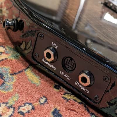 Godin xtSA 2016 - Trans Black image 9