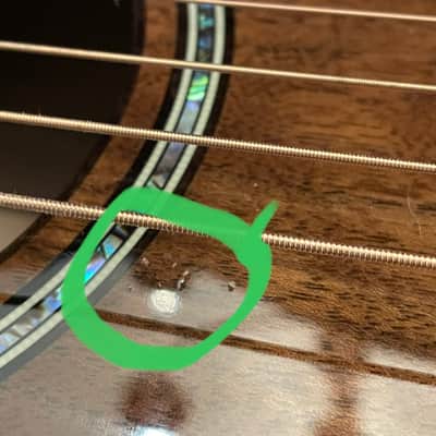 Taylor Grand Pacific Custom 2020 image 10