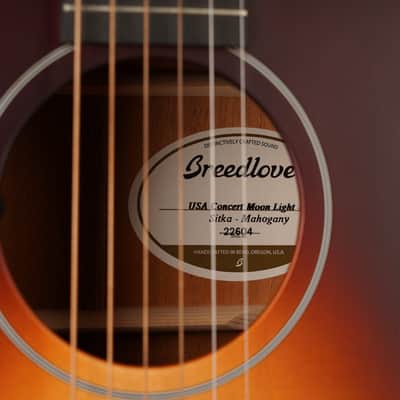 Breedlove USA Moon Light Concert - 2018 - Sunburst image 8