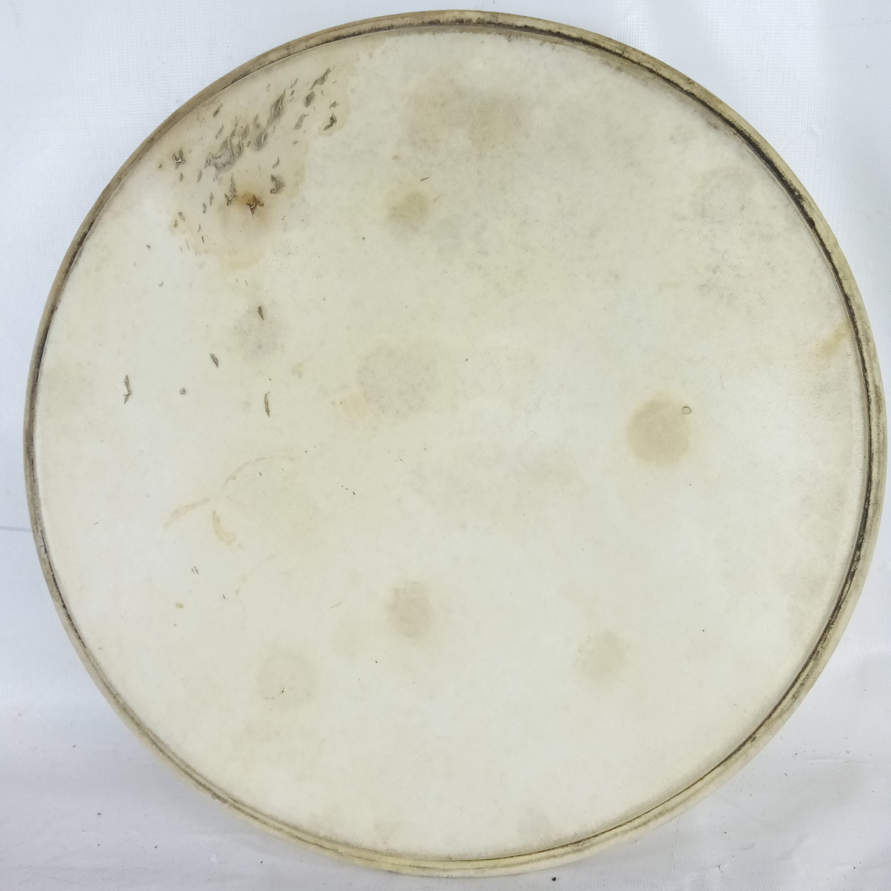 Leedy/Ludwig 13" Calf Skin Rack Tom Drum Head Batter Vintage 50s USA some holes — main photograph