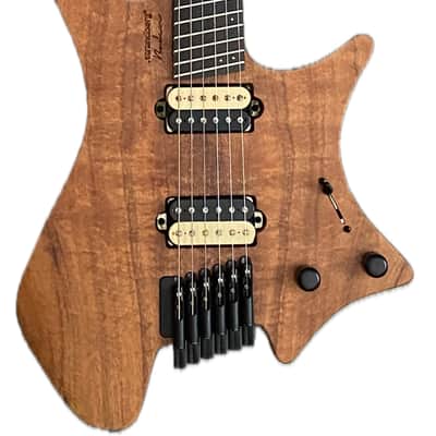 Strandberg Boden Washburn Custom Shop USA image 2