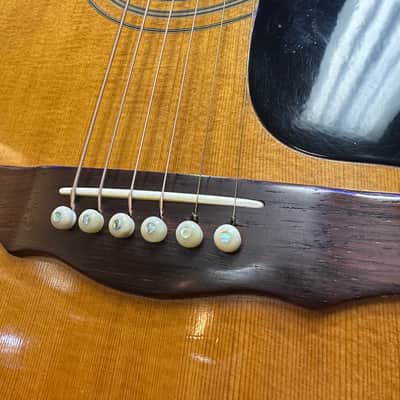 Immagine 1973 Guild D-40 Bluegrass Jubilee - 5