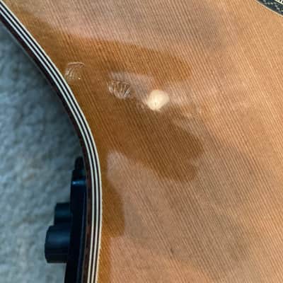 Washburn c104 sce  acoustic electric classical guitar natural image 12