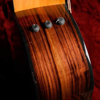 Taylor 214ce Plus Grand Auditorium Acoustic-Electric Guitar image 9