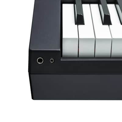 Kurzweil KAP1 Black image 11