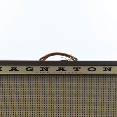 Magnatone Twilighter Stereo 2x12 Combo image 4