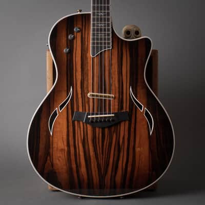 2007 Taylor T5-C2 Limited Macassar Ebony Top image 1