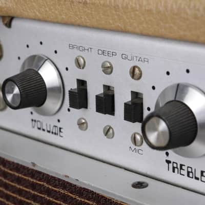 1970's Dumble OD-50W Overdrive Special Guitar Amp Head & Cabinet Dennis Herring #49193 image 20