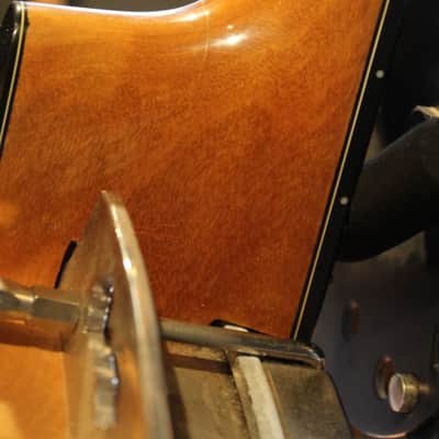 Stelling Bellflower 1977 - Rare Maple Version! image 18