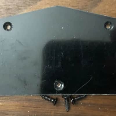2017 Epiphone Les Paul Special II Control Cavity Cover With Screws image 1