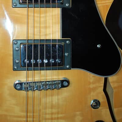 Video Demo 1978 Vintage Japan  Lawsuit Penco E-20N 335 Flamey Body Pro SEtup New  Hard Shell Case image 4