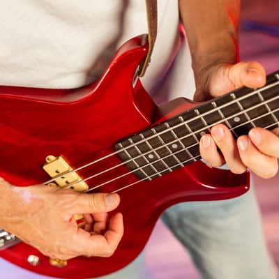 Washburn SB4R Wing Series Scavenger Ashwood Body 4-String Electric Bass Guitar image 15
