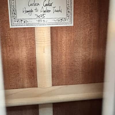 2025 Jialan Chen Coclea Cedro image 9