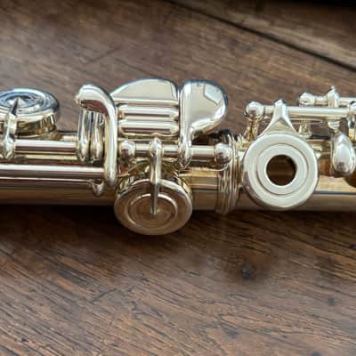 Wm. S. Haynes, Amadeus Flute - Beautiful! image 9