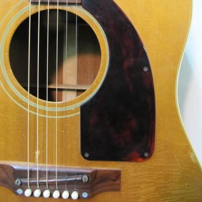 Epiphone Texan 1966 - Natural image 3
