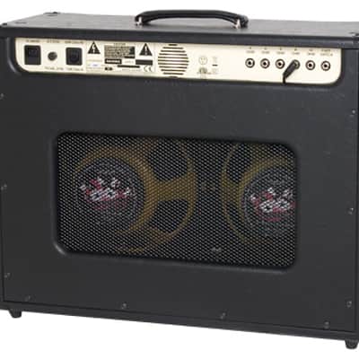 Epiphone Blues Custom 30W 2x12 Combo Amp image 2