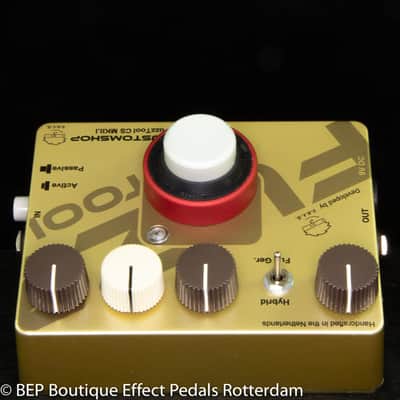 Guitarsystems FuzzTool Custom Shop MKII.I  2021 s/n 20210612#2 custom made for BEP in Holland image 5