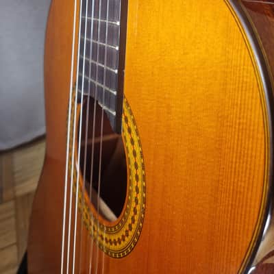 Yamaha GC12C Solid Cedar/Mahogany Classical Guitar image 9