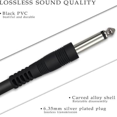 USB Guitar Cable 10Ft, USB Guitar Interface Male to 6.35mm 1/4 inch Gold-Plated TS Mono Plug,Recording Cable Compatible with PC, Mac, Xbox, PS4, PS3,PS2 image 2