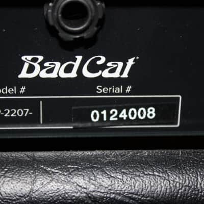 Bad Cat Black Cat 2-Channel 20-Watt 1x12" Guitar Combo image 14