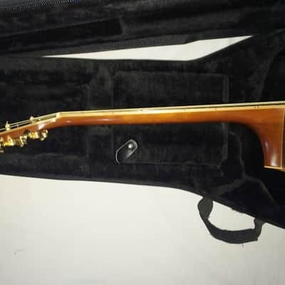 ALVAREZ-PD-100S-ACOUSTIC-TREE-of-LIFE-GUITAR-W-CASE-Exce image 11