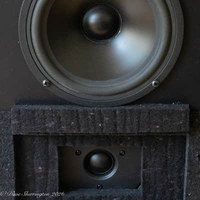 Dunlavy Audio Labs SM-1 Speakers + Stands image 3