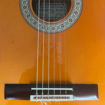 Graciliano Perez  blanca 2019 image 11