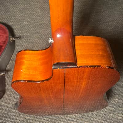 Sigma DM 4 CV Unknown - Burst image 13