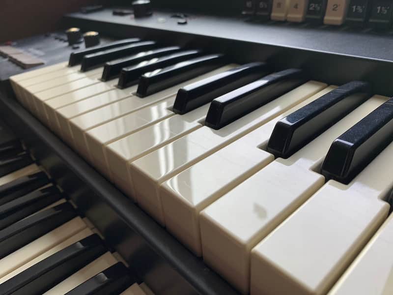 Roland VK-88 Combo Organ | Reverb Brazil