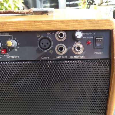 Prime CA-30 RC Solid State Guitar Amp 30 Watts image 3