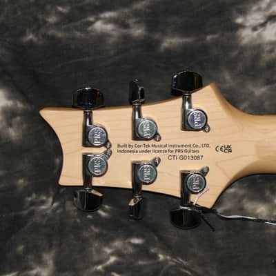 PRS Swamp Ash Special SE 2024 - Iri Blue image 6