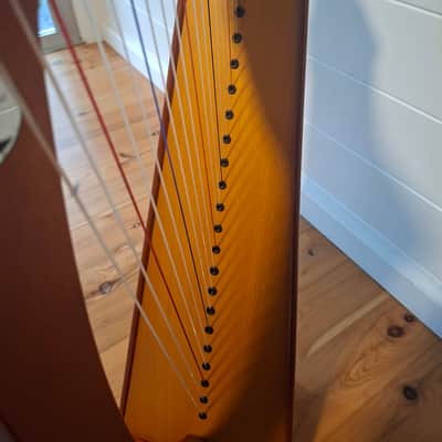 CAMAC 22 string Bardic 2015-2020 - Wood image 5
