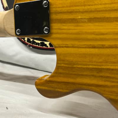 Galveston Singlecut Acoustic Electric Resonator Guitar image 14