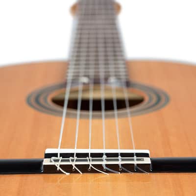 Ortega R20GSNRG Traditional Series Solid Cedar Top Mahogany Neck Nylon 6-String Classical Acoustic Guitar w/Gig Bag image 13