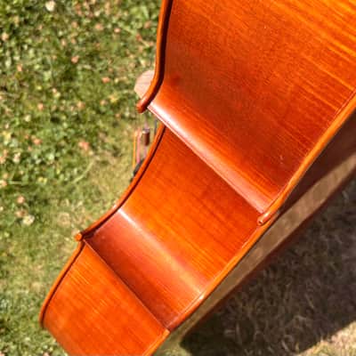 Westbury Eastman cello 4/4 - Hand varnish image 13