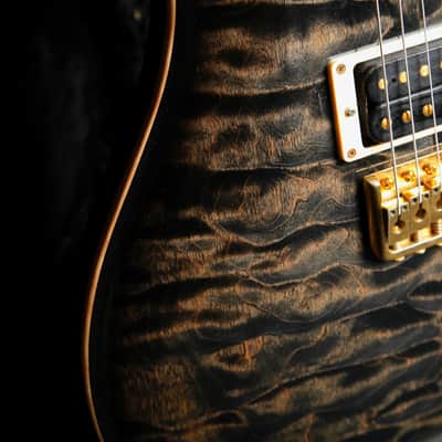 PRS Custom 24 10-Top Wood Library Rosewood Neck Charcoal Burst 2010 Pre-Owned image 8