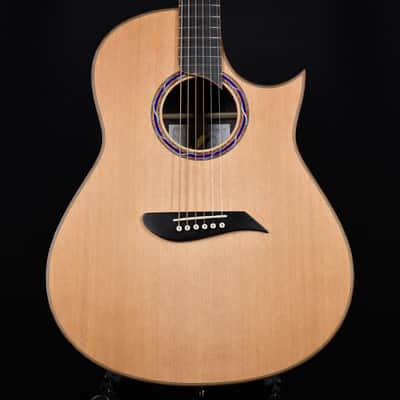Morris S-107III Auditorium Cedar w/ Rosewood Japanese Handcrafted Fingerstyle Acoustic (2301016) image 1