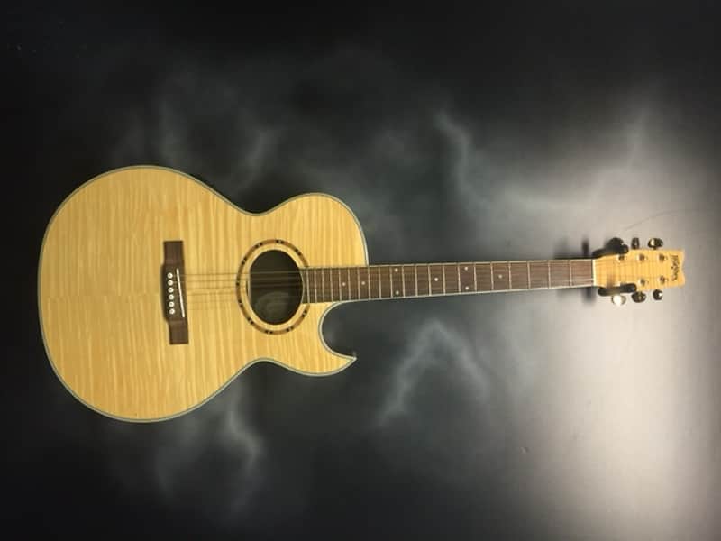 Washburn EA9F image 1