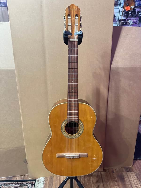 Giannini Serie Estudo Acoustic Guitar - Brazil image 1