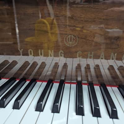 Young Chang Baby Grand Piano - Polish Walnut image 2
