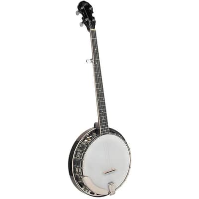 Rover RB-45 Student 5-String Resonator Banjo