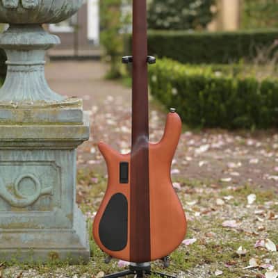 Spector Euro 4 RST - Sienna Stain Matte image 14