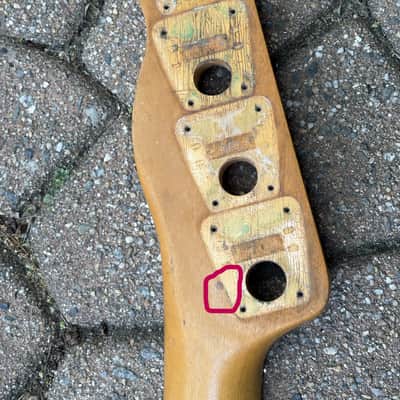 1968 Fender Telecaster Bass Neck Maple image 17