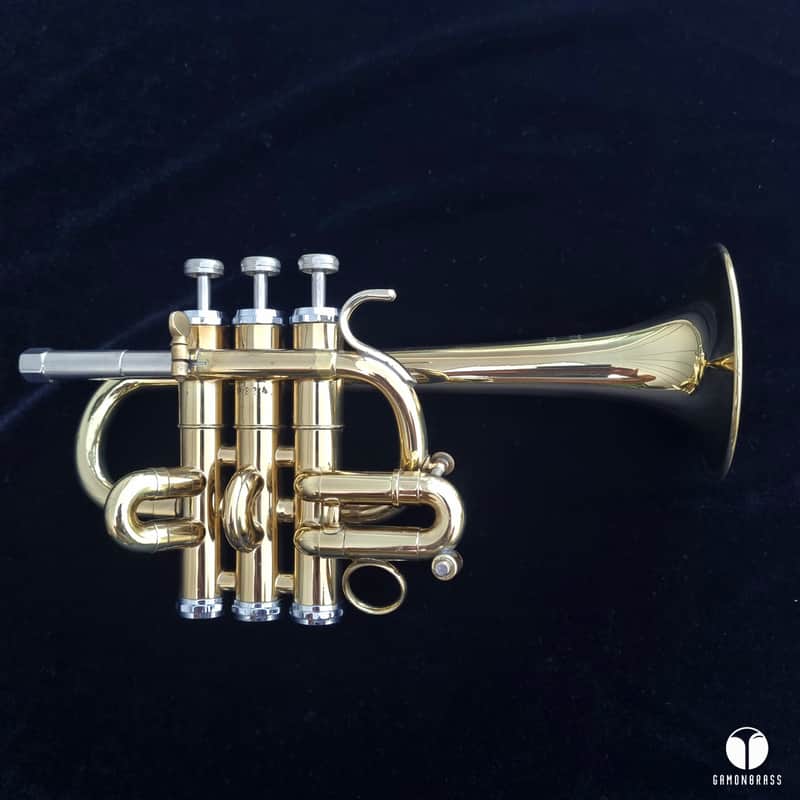 Getzen Capri Bb / A piccolo trumpet two leadpipe gamonbrass image 1