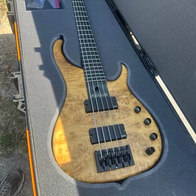Modulus Quantum 5 2006 Burl maple image 7