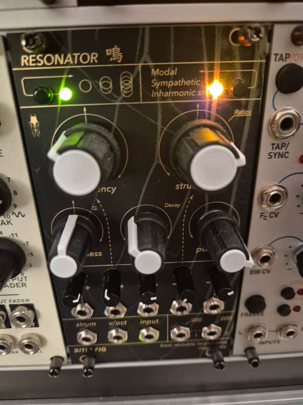 Mutable Instruments Rings clone image 1